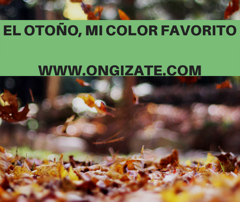 MI COLOR FAVORITO, EL OTOÑO